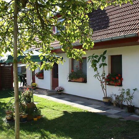 Ferienwohnung Wiesenblick Prerow Exteriér fotografie